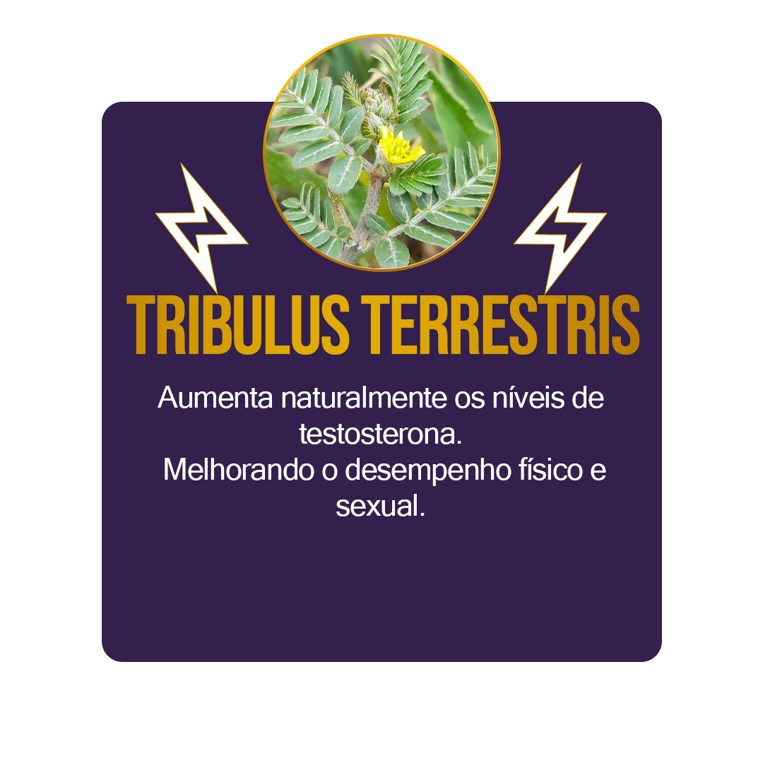 Tribulus